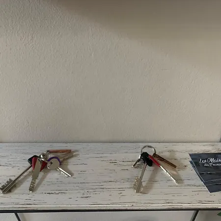 House Cavour 24 Daire